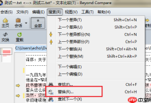 Beyond Compare如何实现文本批量替换-路由网