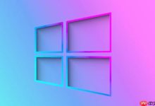 win10怎么查看端口是否被占用_win10网络端口占用情况查询方法-路由网
