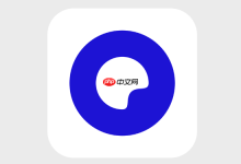 iPad上如何设置并使用夸克网页版?-路由网