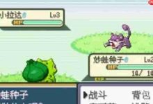 GBA/NDS口袋妖怪rom中文版免费下载合集-路由网