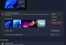 Win11聚焦新功能来了!桌面壁纸天天换(附开启方法)-路由网