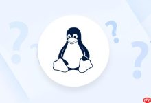 如何在Linux中查看文件类型?使用file命令判断文件格式和类型-路由网