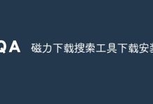 磁力下载搜索工具,一键下载轻松装-路由网