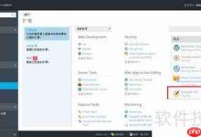 Plesk快速申领Symantec免费证书-路由网