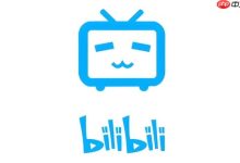 B站如何查看他人关注列表?操作指南-路由网