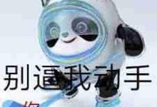 掌握支付宝技巧,快速抢到冰墩墩!-路由网