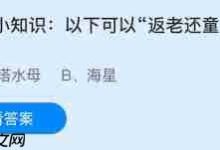 东阳木雕乃浙江东阳之传统非遗瑰宝-路由网
