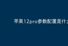 苹果12pro的参数配置究竟是怎样的?-路由网