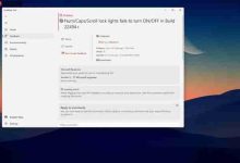 Win11最新预览版又出新Bug:用户称键盘被搞崩溃!-路由网