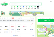 Naver官网登录步骤及问题处理指南-路由网