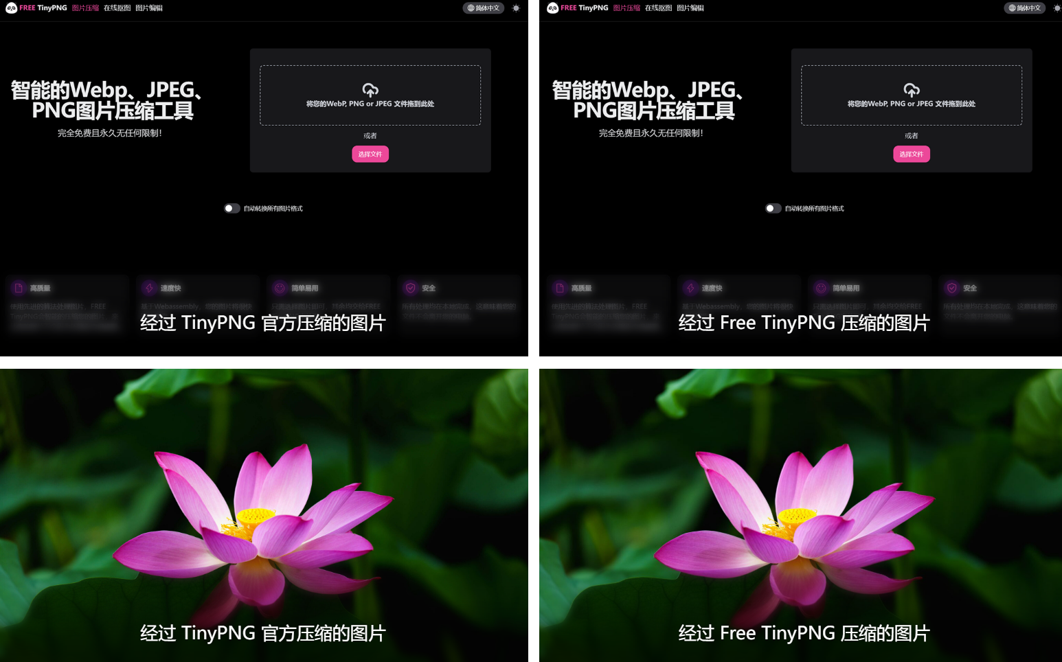 Free TinyPNG:图片压缩的免费“宝藏”,一键开启高效体验-路由网