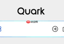 iPad使用夸克网页版:详细操作步骤解析-路由网