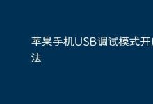 苹果手机开启USB调试,按此步骤操作-路由网