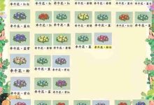 桃园人家牵牛花,育种秘籍独家揭晓-路由网