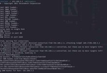 CVE-2025-33073|Windows SMB权限提升漏洞-路由网