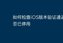 如何判别iOS版本验证是否已关闭?-路由网