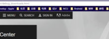 谷歌浏览器adobe flash player不是最新版本该怎么办?-路由网