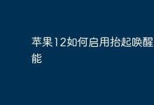 苹果12如何开启“抬起即亮”屏幕功能?-路由网