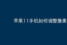 苹果11像素调整,可在相机设置中操作-路由网