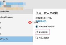 Win10系统旁加载应用模式是什么?-路由网