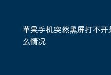 苹果手机突然黑屏无法开机,咋回事?-路由网