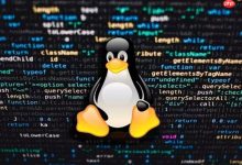 Linux查看进程打开的文件方法-路由网