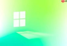 如何在Windows上查看证书-路由网