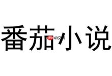番茄小说绑定第三方账号登录教程-路由网