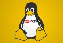 Linux使用scp命令远程复制文件教程-路由网