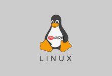 Linux查看文件被哪个进程占用的方法-路由网