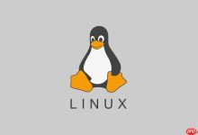 Linux搭建NFS服务器方法-路由网