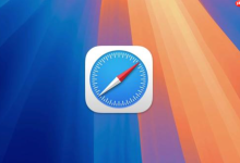 Safari下载提示风险如何处理-路由网