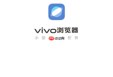 vivo浏览器官网登录入口官方正版网址-路由网