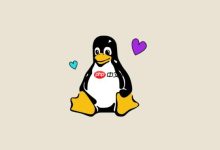 Linux中使用ping命令指定测试次数的方法-路由网