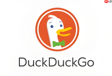 DuckDuckGo有云同步功能吗？-路由网