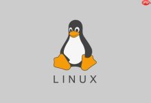 Linux按文件大小搜索命令教程-路由网
