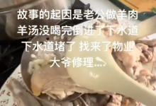 别让肉汤成下水道炸弹，正确处理更环保-路由网