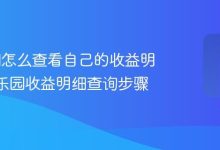 233乐园查看收益明细步骤详解-路由网