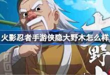 火影忍者手游侠隐大野木技能解析-路由网