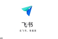 飞书消息置顶无效?试试这些修复方法-路由网