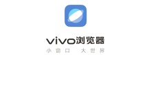 vivo浏览器主页导航自定义设置方法-路由网