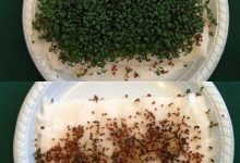 无线路由器辐射很厉害吗?-路由网