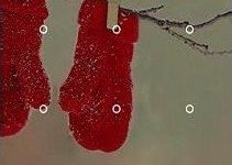 手机WiFi有信号但无法上网的解决方法-路由网