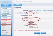 Netcore磊科路由器DDNS动态域名设置教程-路由网